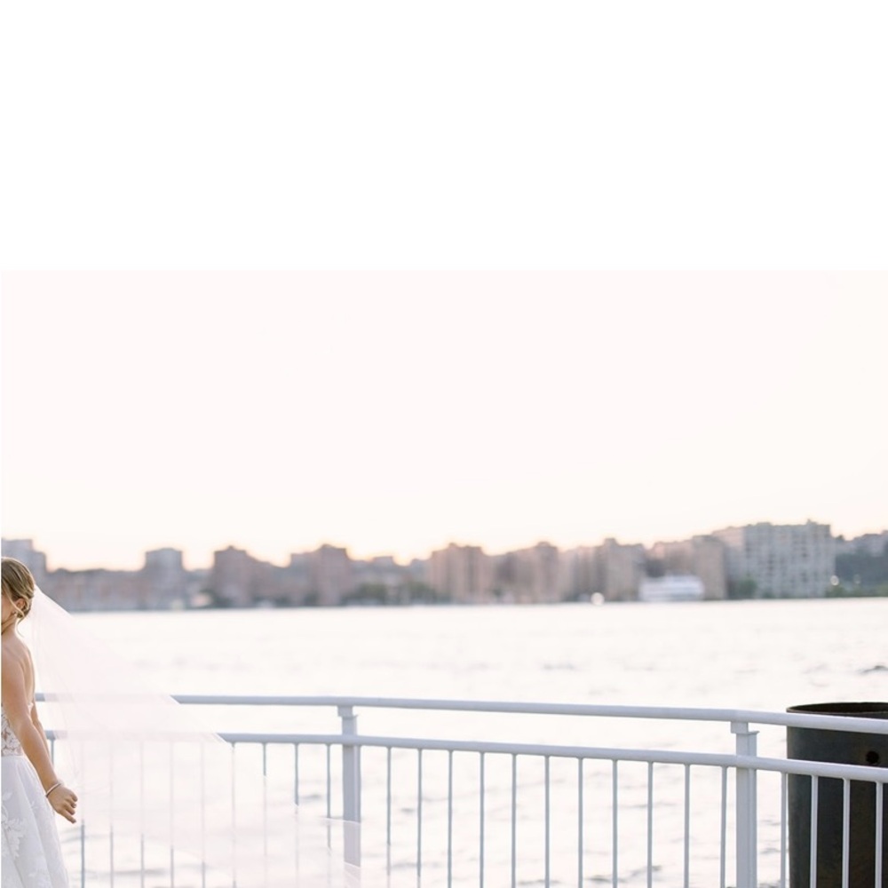 Elegant Wedding Veil